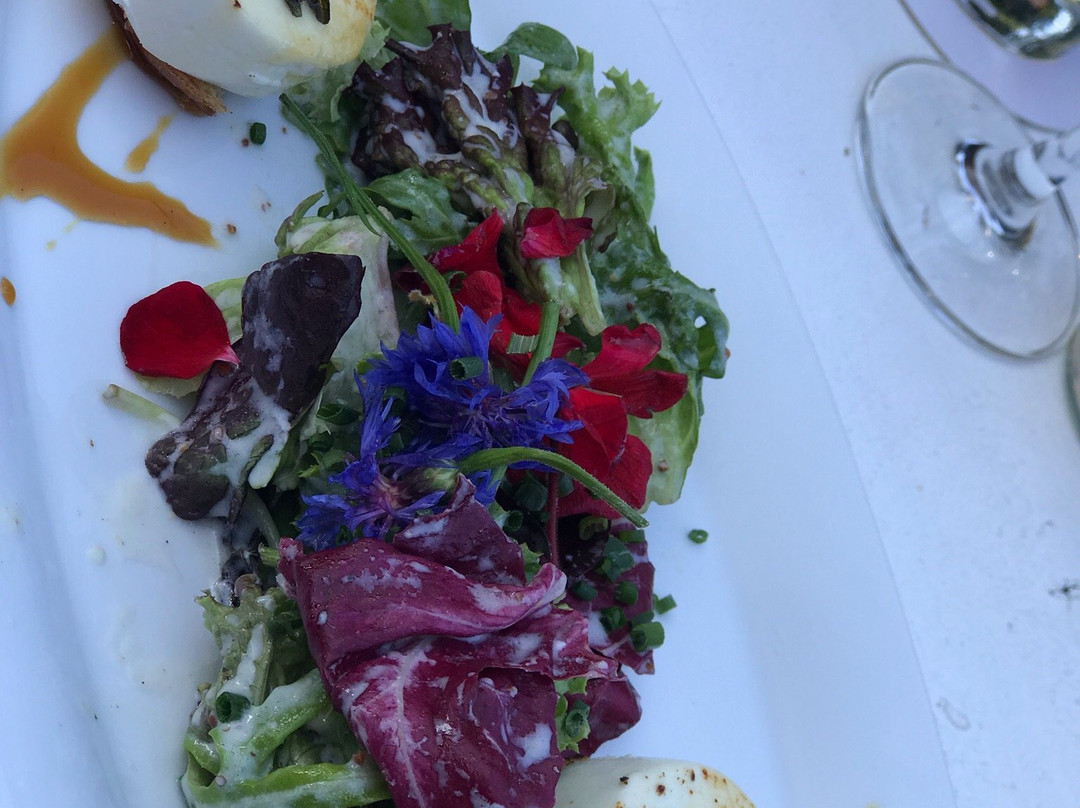 Rosa酒店住宿-Burg Maienluft