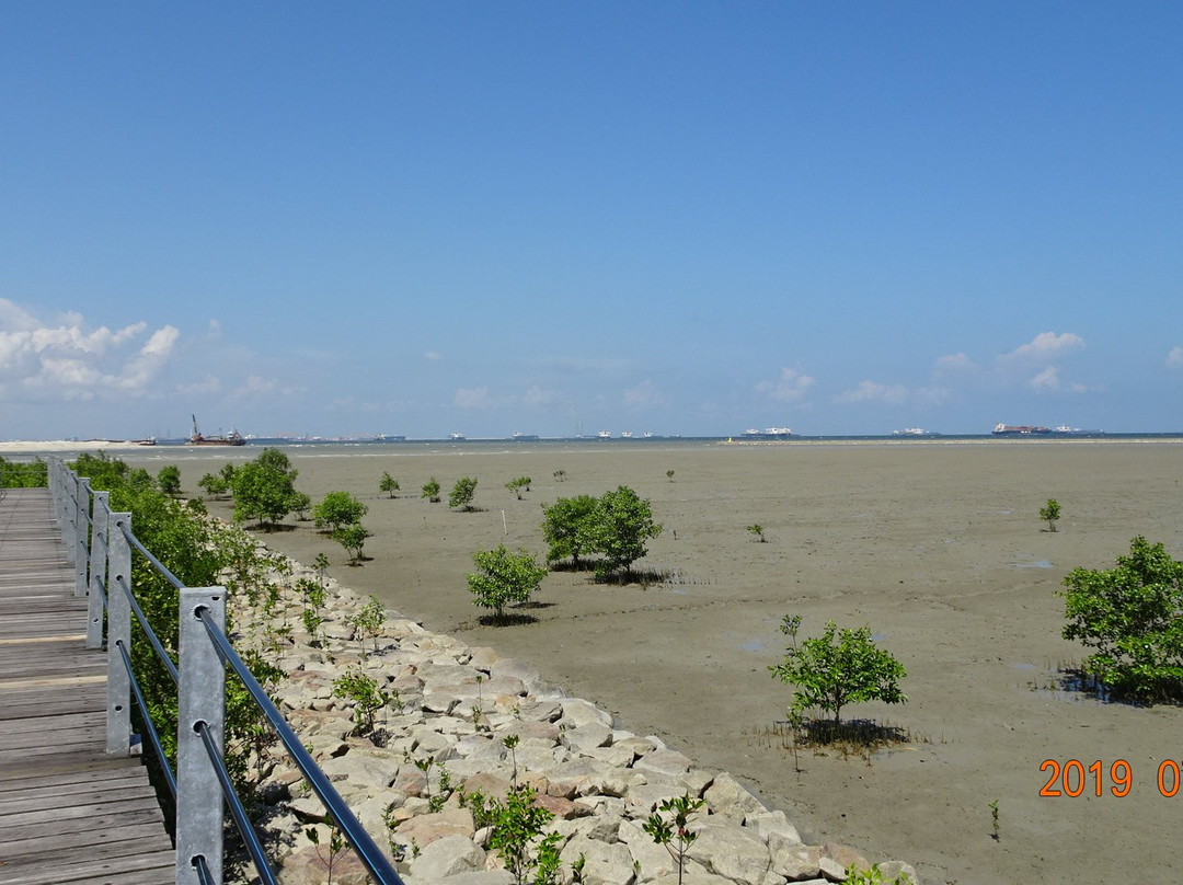 Pantai Tanjung Piai-巴生必去景点