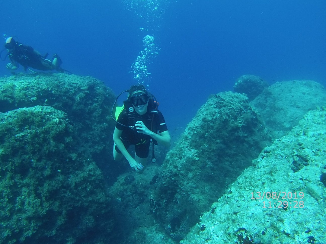 Ergo Dive Loumis Diving Team景点图片