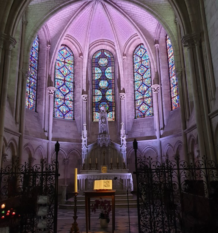 Cathédrale Saint-Pierre-et-Saint-Paul景点图片