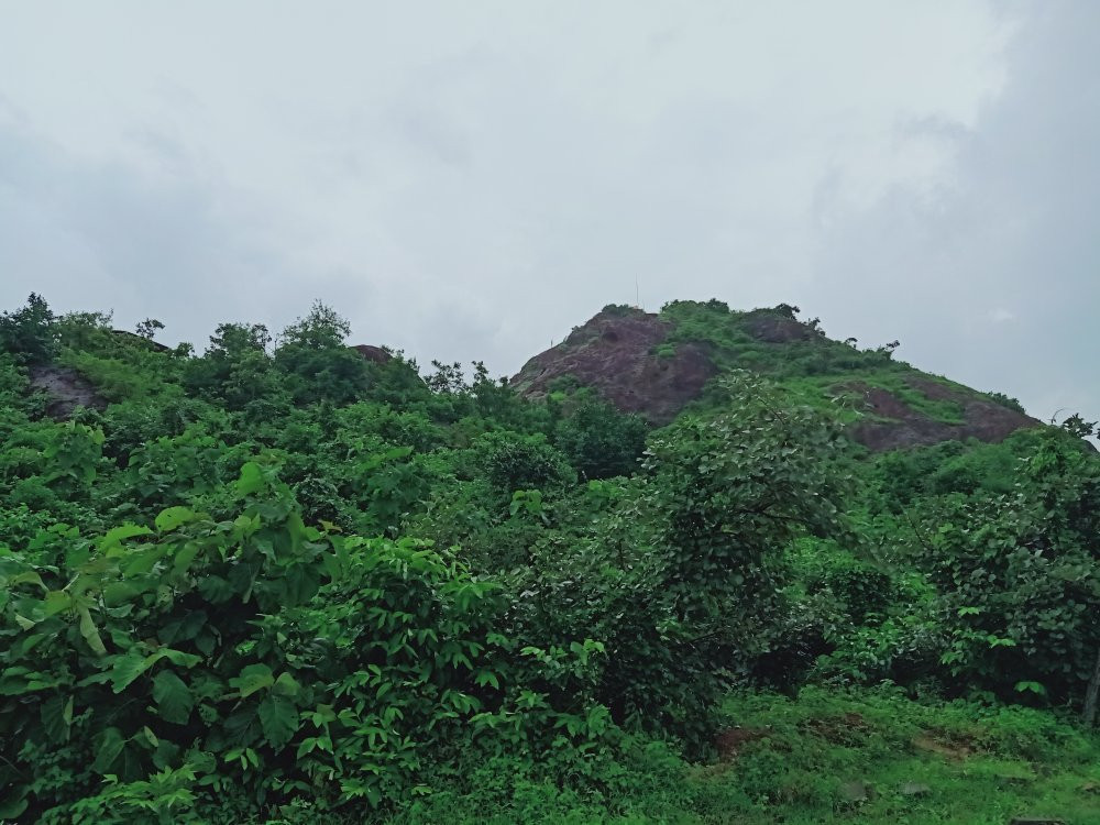 Kadia Dungar Caves-Bharuch必去景点