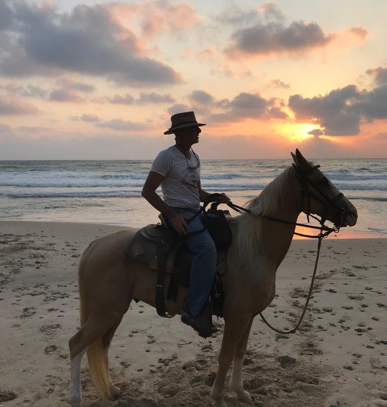 Yeruham Park and Lake-Yeruham必去景点