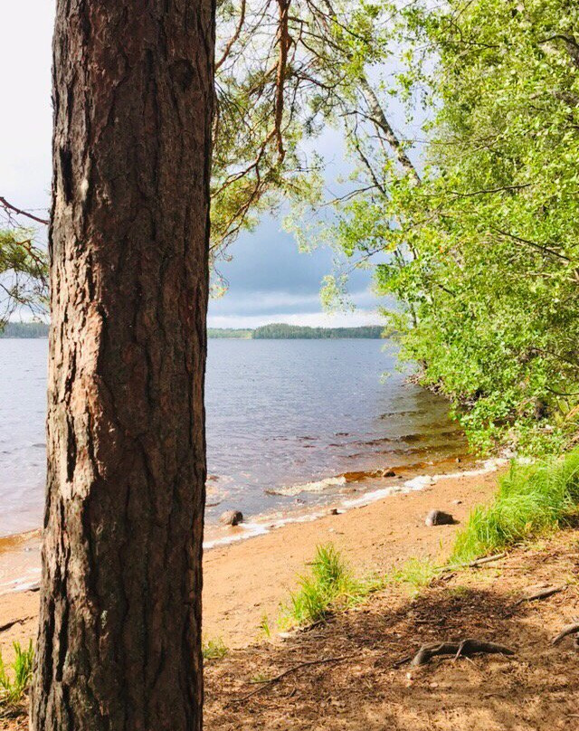 Leivonmaki National Park-Joutsa必去景点