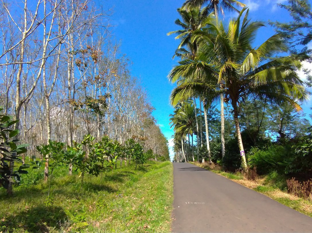 Java Tourist Map-西多尔佐必去景点