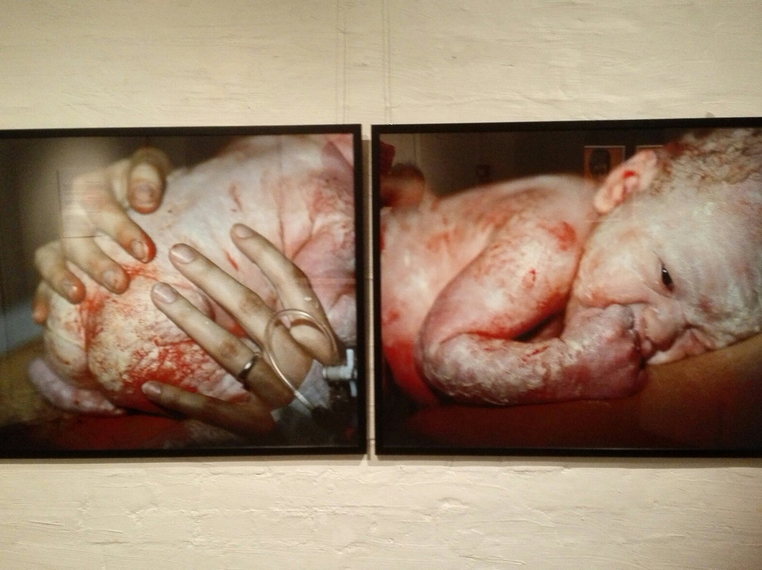 Salon Taidemuseo Veturitalli-Salo必去景点