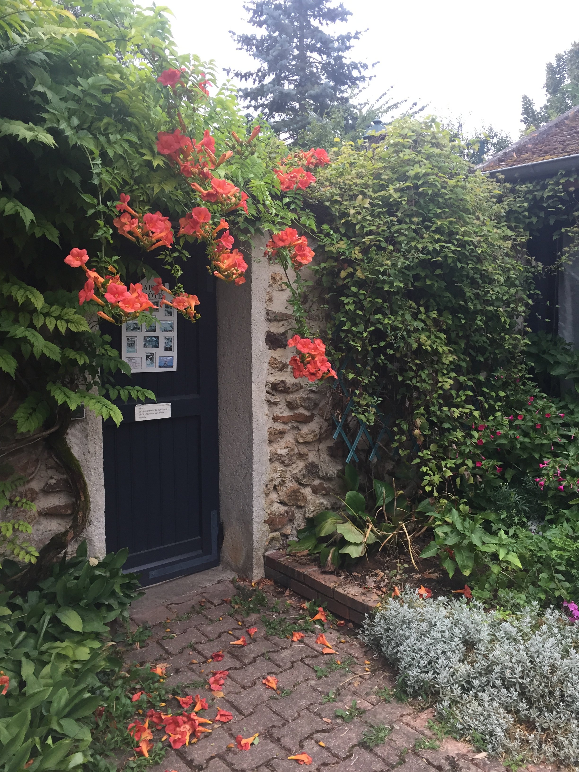 Le Clos des Bergenias-官方