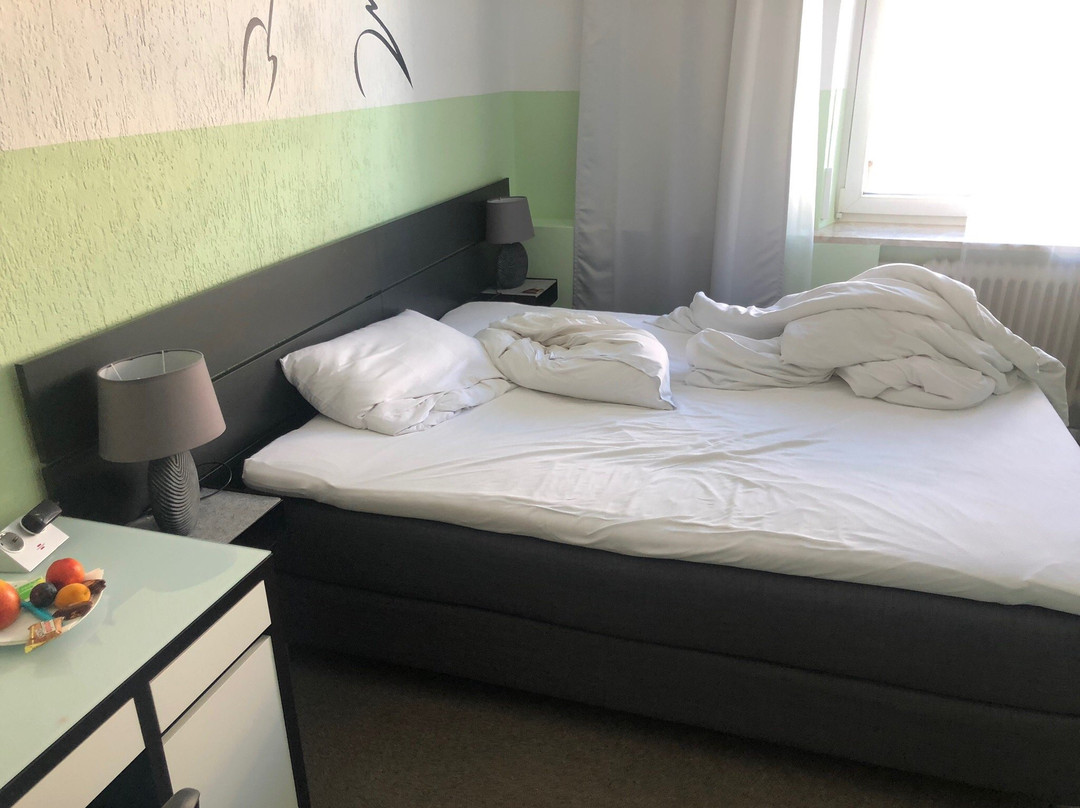 Hotel Goldener Falke主图