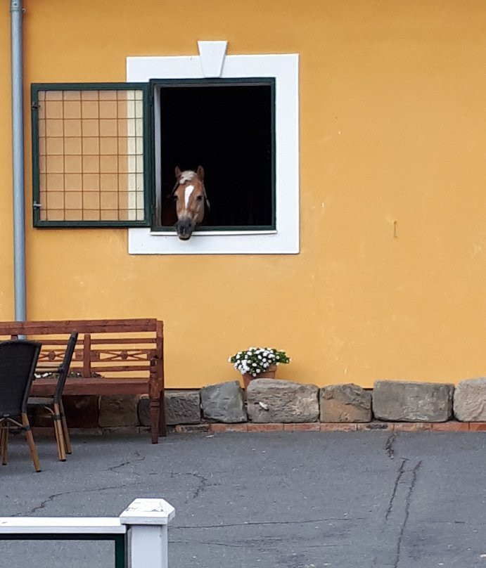 Villa Gineta主图