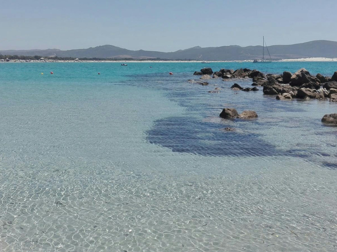 Spiaggia Animal Frendly Porto Pino-Carbonia必去景点