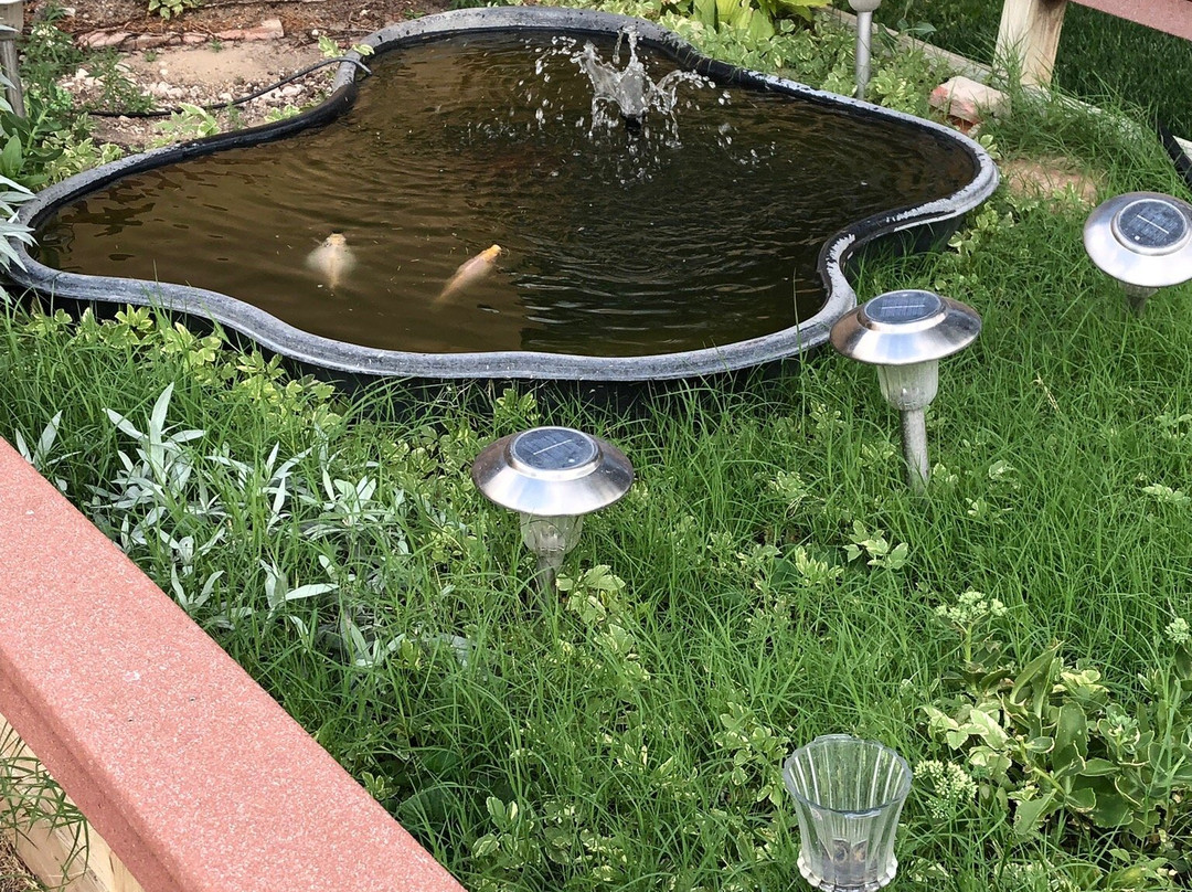 Best Western Kokopelli Lodge主图