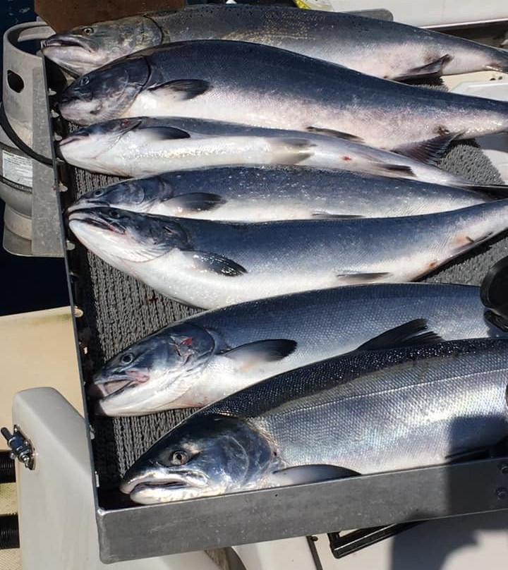 Sea West Fishing Charters景点图片
