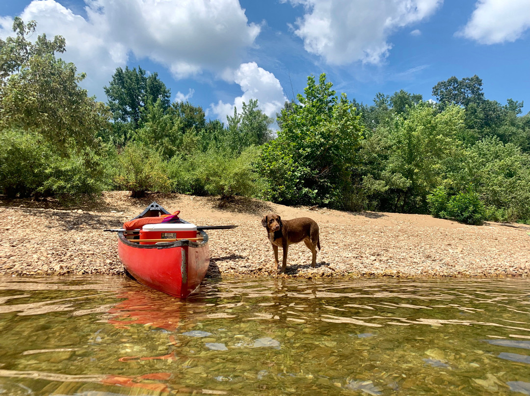 Silver Hill Float Service-Saint Joe必去景点