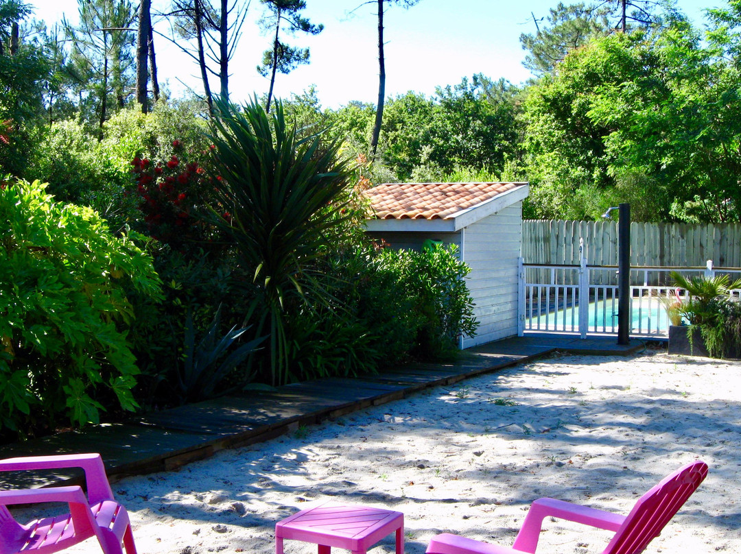 Au Jardin des Libellules主图