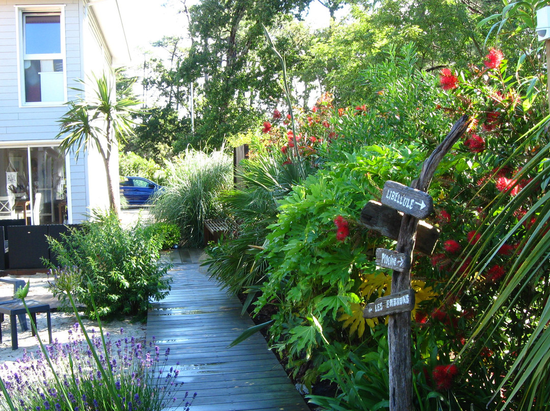 Au Jardin des Libellules主图