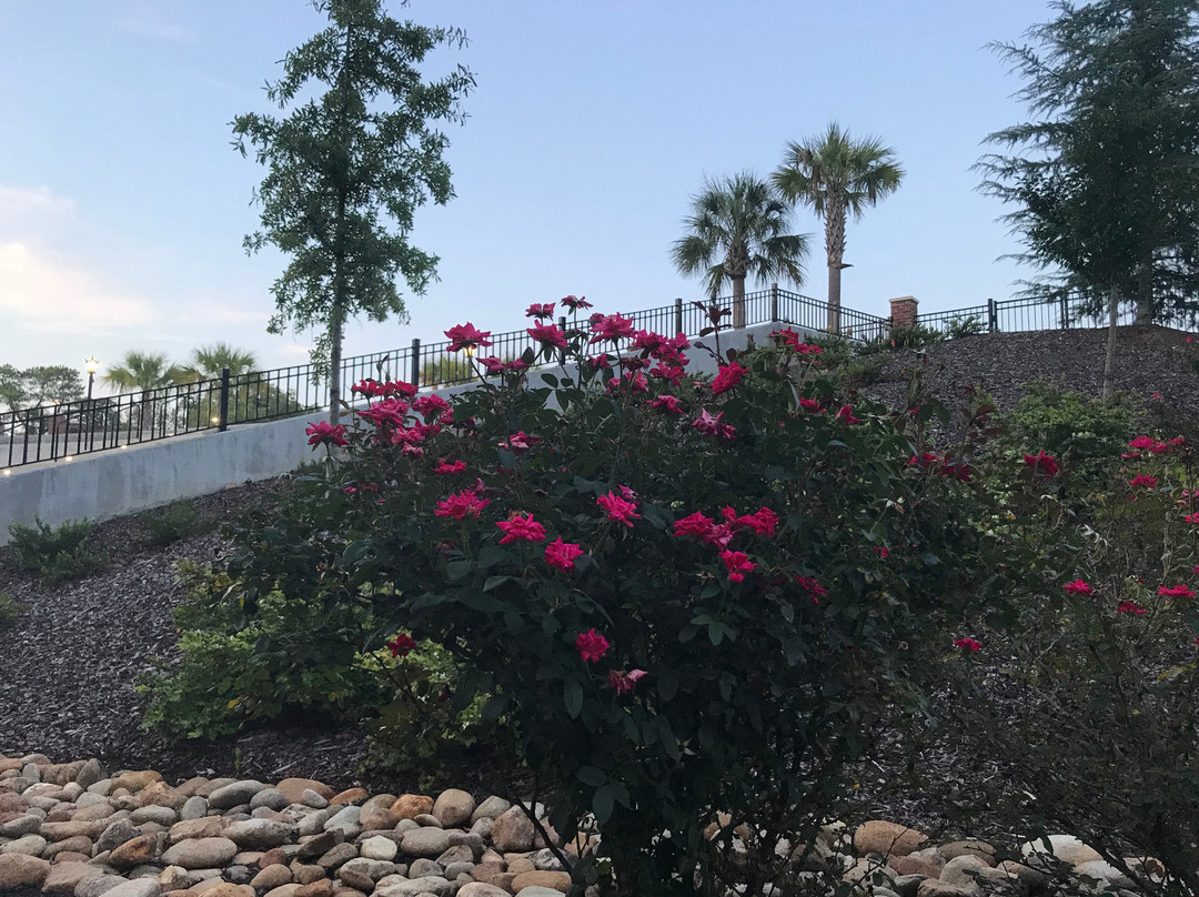 Icehouse Amphitheater-列克星敦必去景点