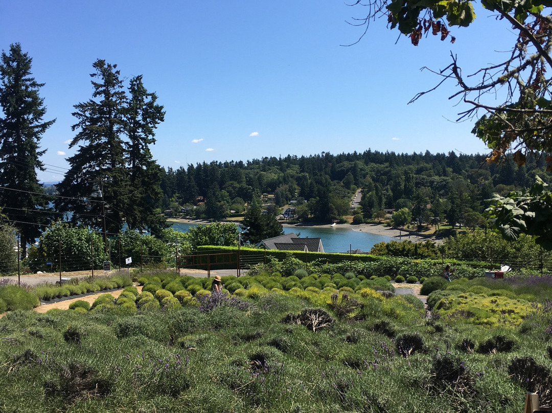 Vashon Island-Vashon必去景点