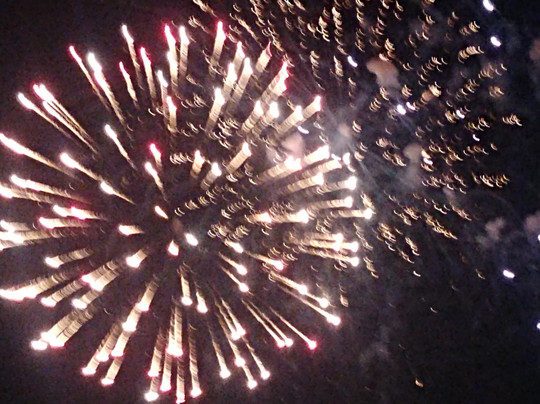 Plymouth Cruises aboard Lobster Tales-普利茅斯必去景点