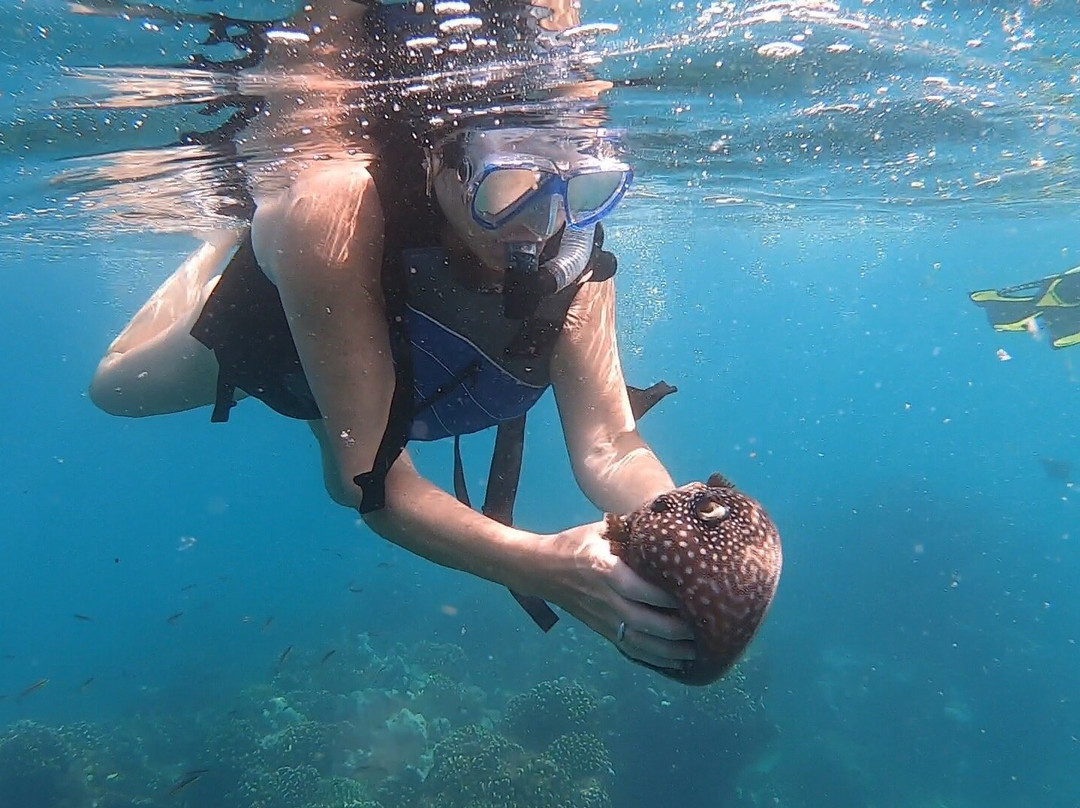 Chileno Bay Los Cabos-卡波圣卢卡斯必去景点