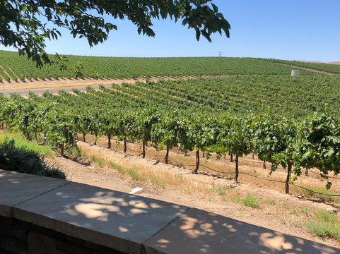 Grapeline Wine Tours, Paso Robles-帕索罗布尔斯必去景点