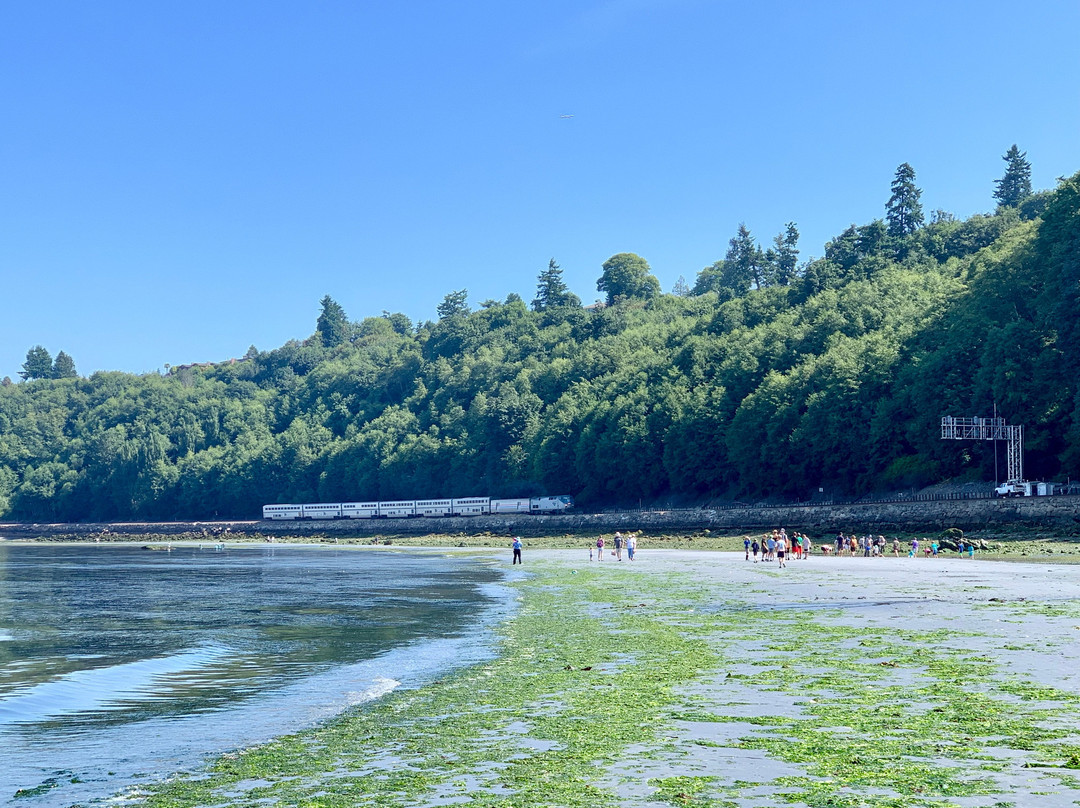 Carkeek Park景点图片