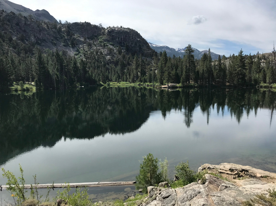 Leavitt Meadows Pack Station景点图片