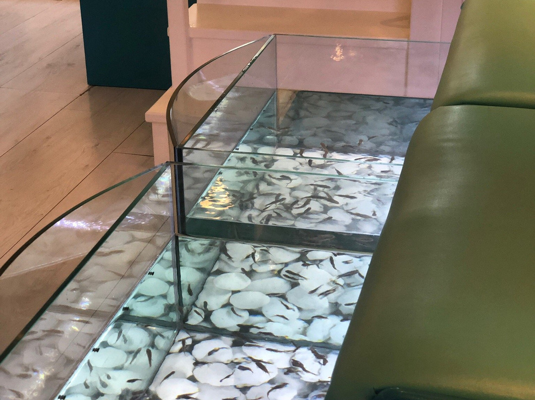 Kissingfish-费拉必去景点