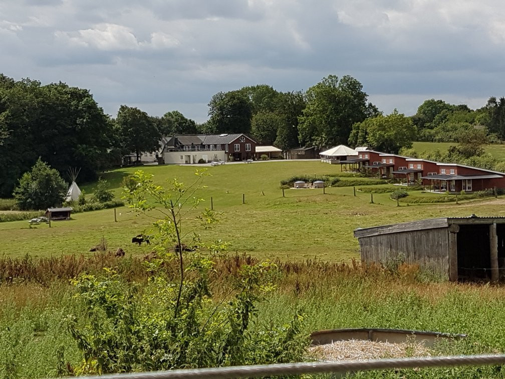 Ditlevsdal Bison Farm-Morud必去景点