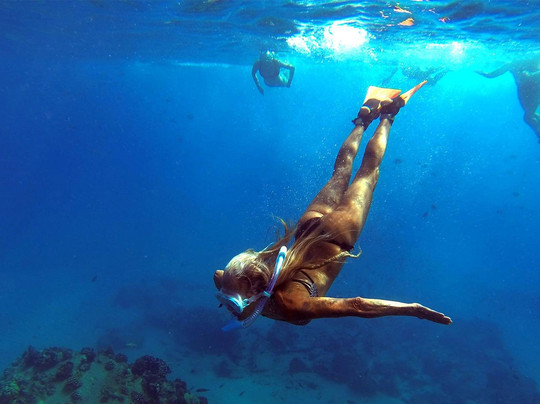 Elf's Custom Island Adventures-瓦胡岛必去景点