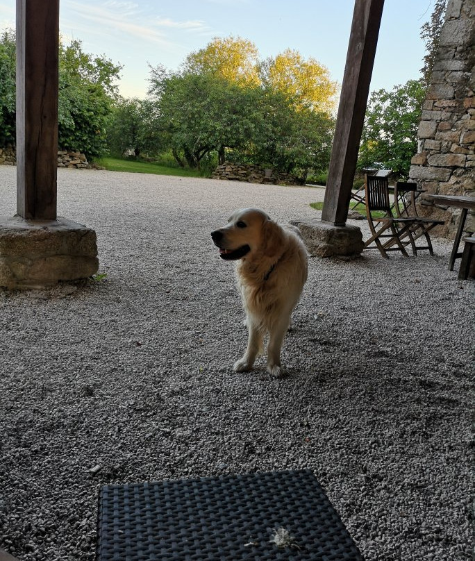 Chateau de la Garnison主图