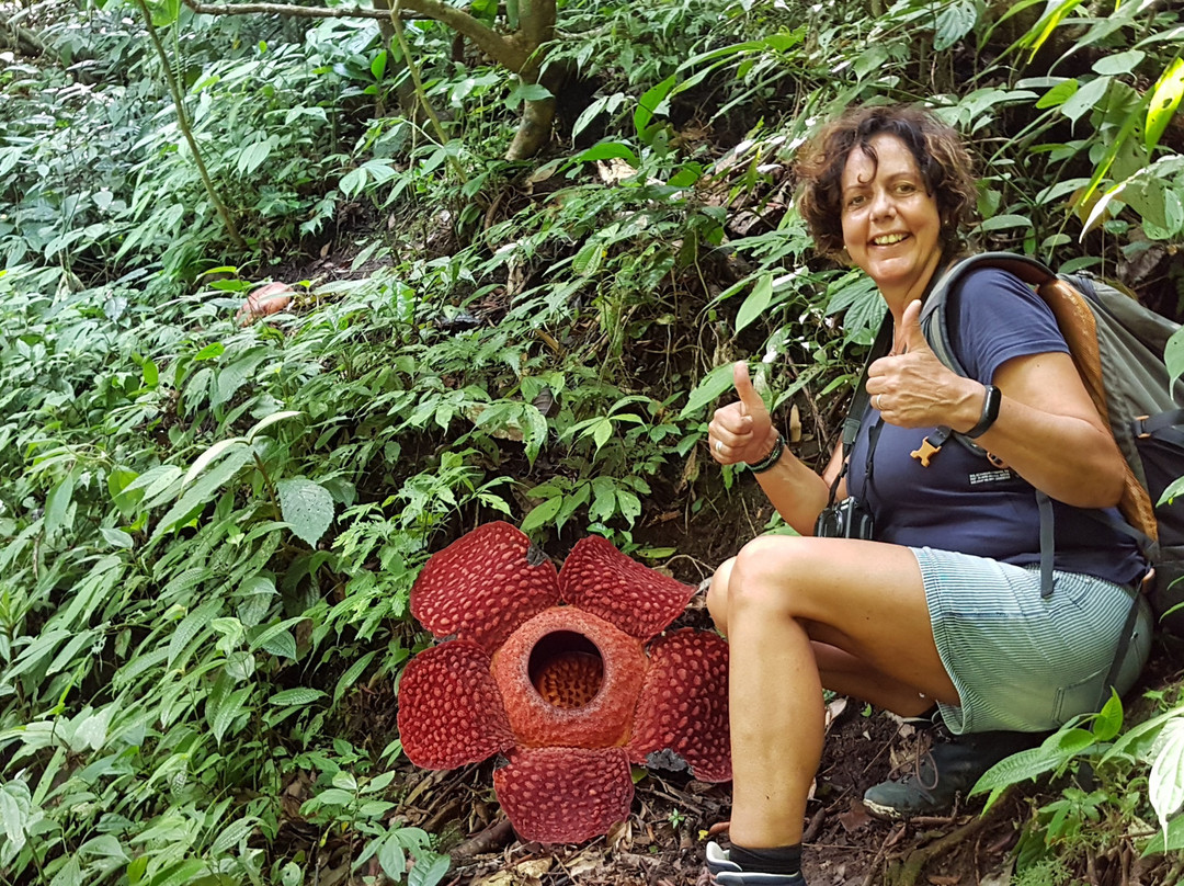 Batang Palupuh Nature Conservation Center (Rafflesia Park)-Palupuh必去景点