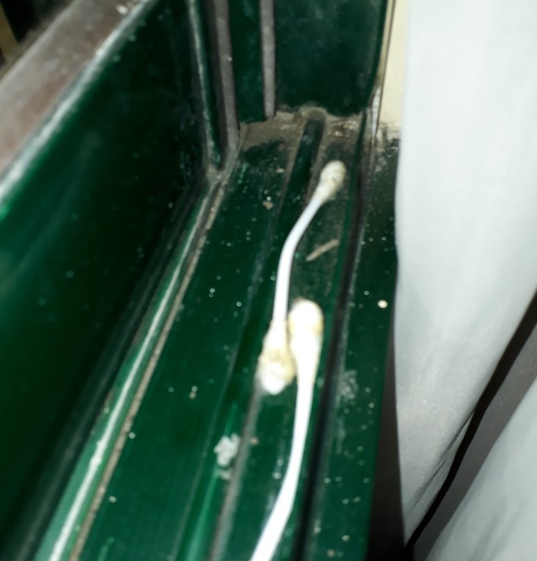 Royal Garden Hotel主图