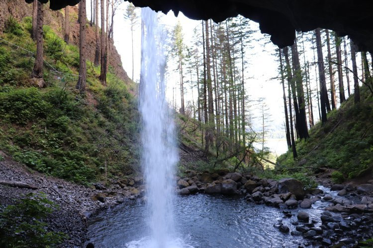 Ponytail Falls-Cascade Locks必去景点