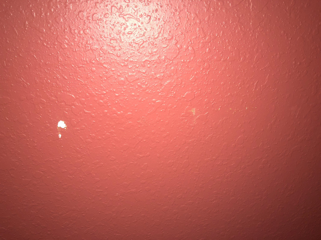 Ramada Limited Decatur主图