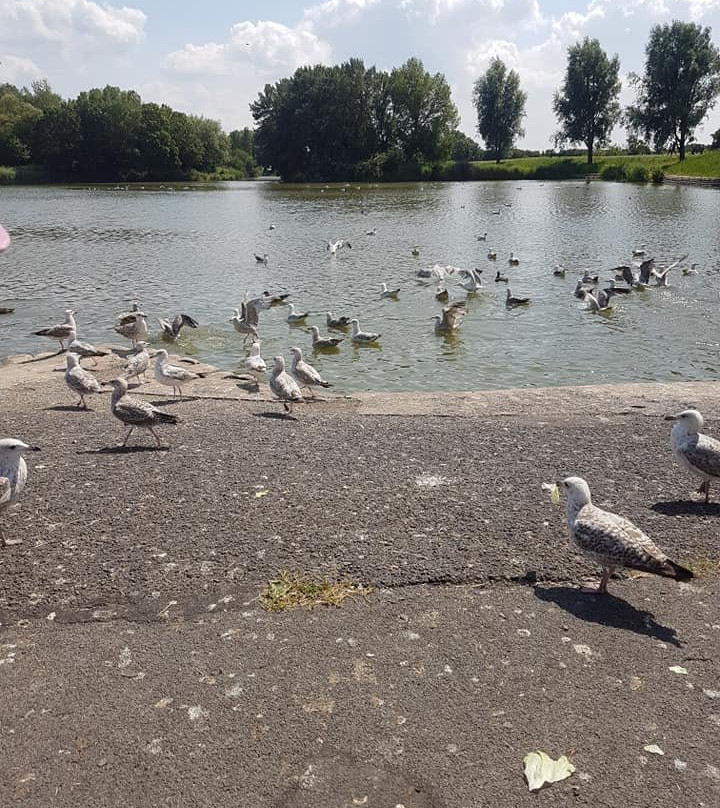 Apex Leisure & Wildlife Park景点图片
