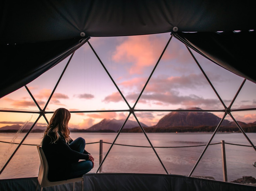 Wildpod Glamping