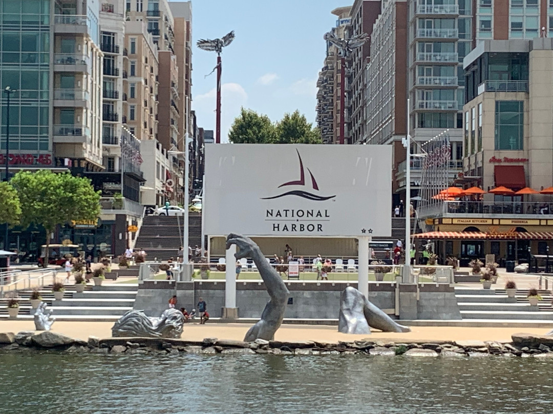 Potomac Water Taxi | City Cruises-亚历山德里亚必去景点