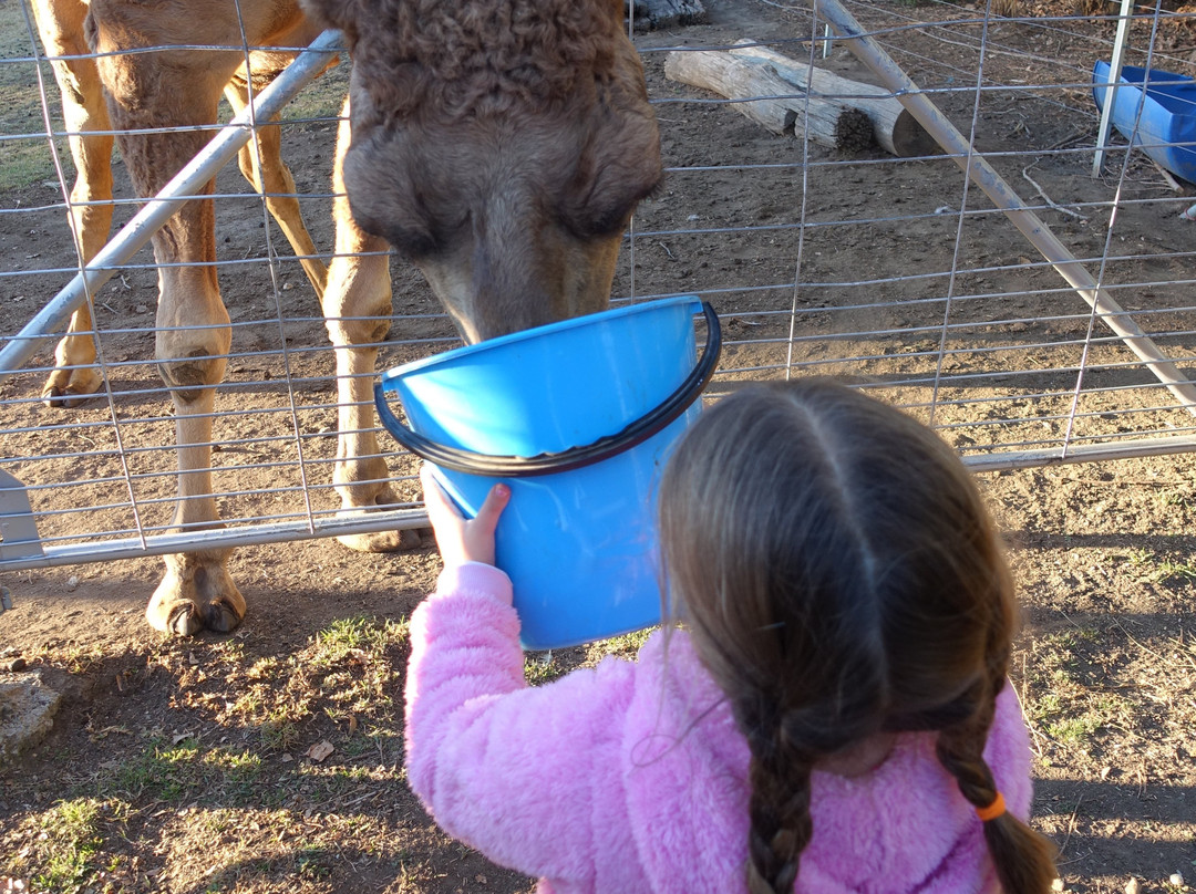 Mudgee's Getaway Cottages主图