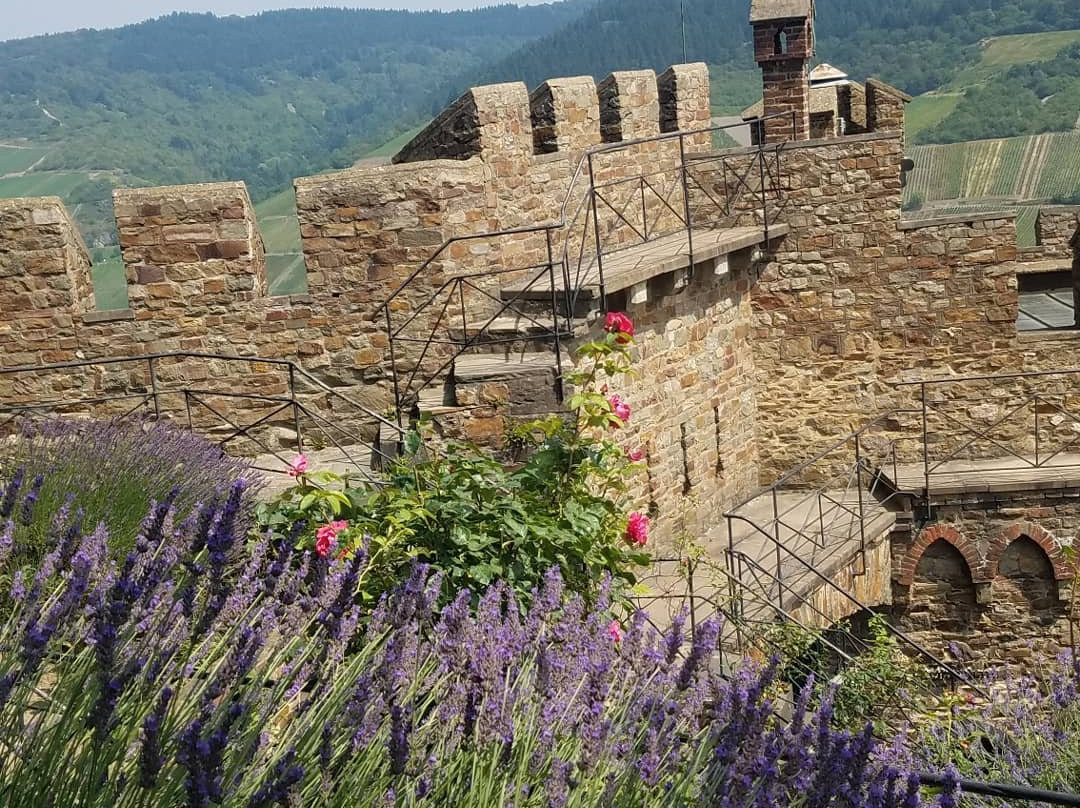 Burg Sooneck-Niederheimbach必去景点