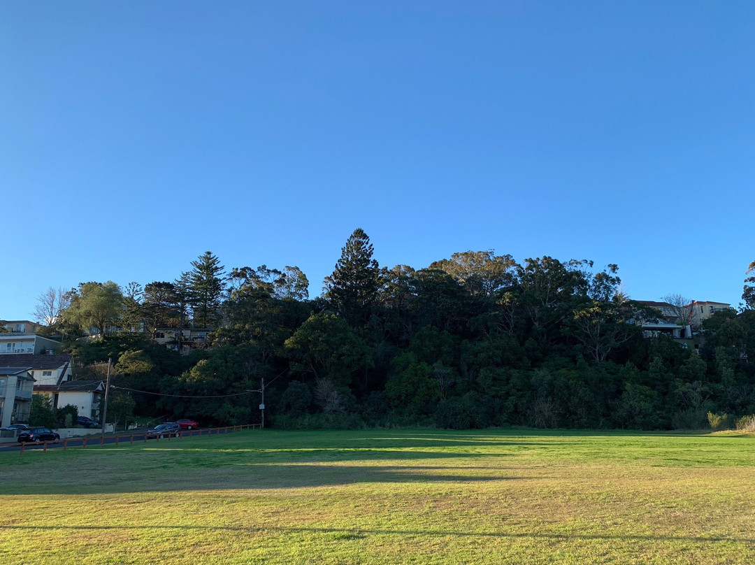 Wolli Creek Walking Track景点图片
