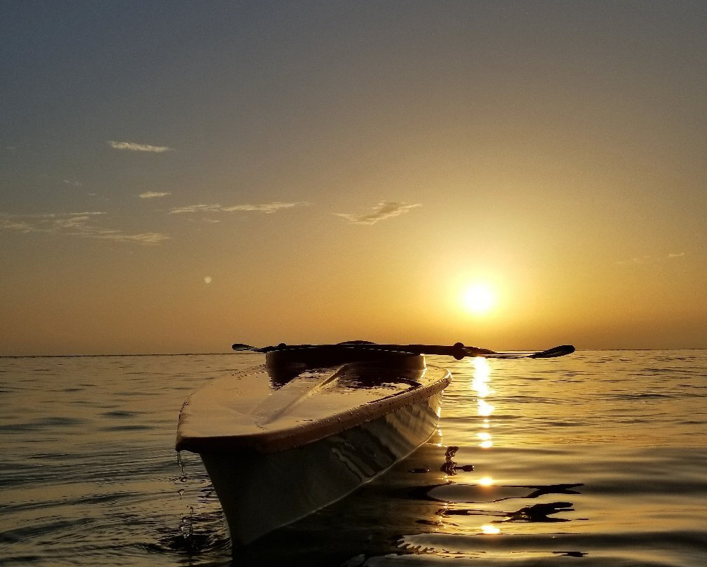 杜勒斯旅游景点-The Beach Bar