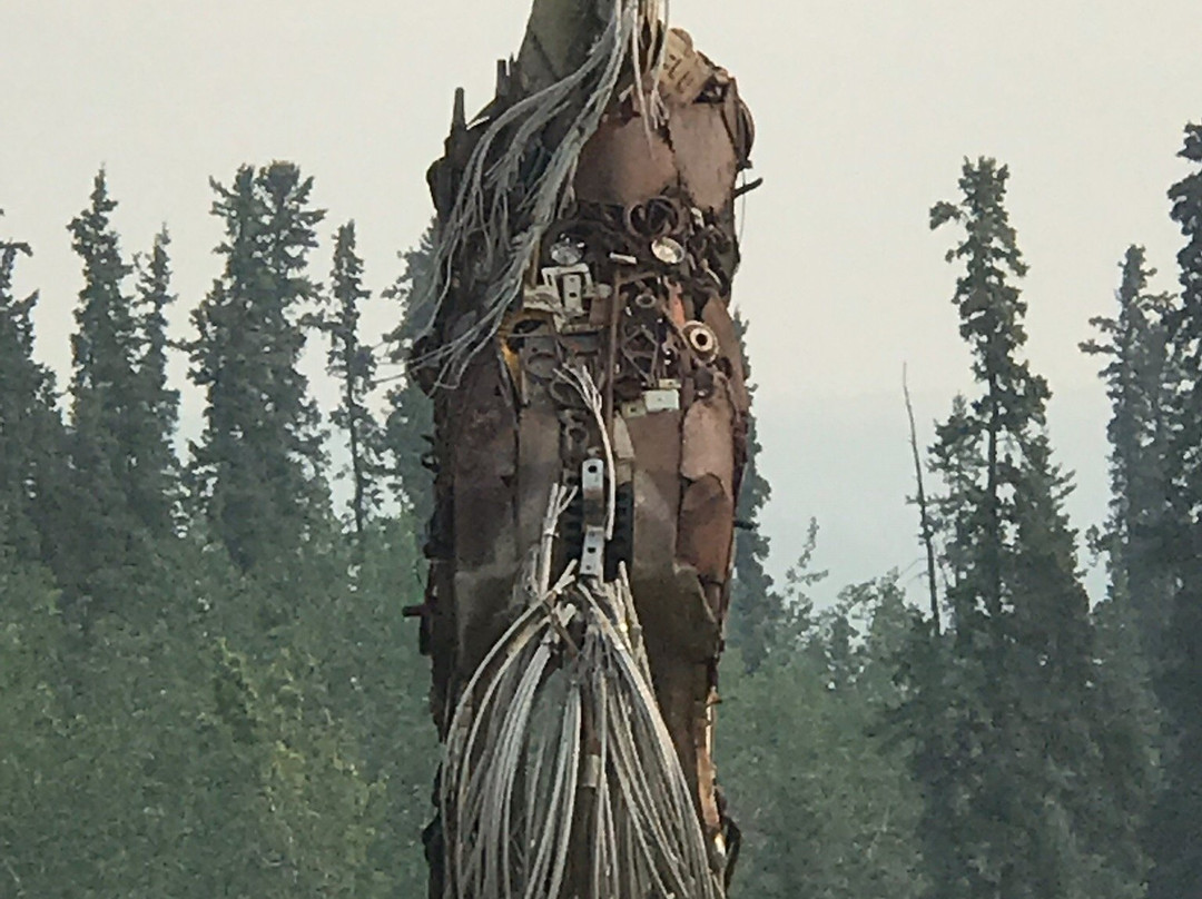 "The Whitehorse Horse"景点图片