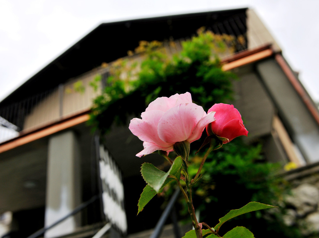 Rimske Toplice酒店住宿-Villa Home & Garden Lasko
