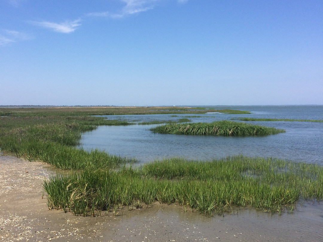 Island Motor Inn Resort主图