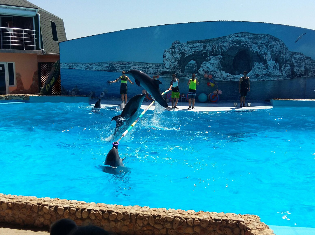 Dolphinarium-Olenevka必去景点