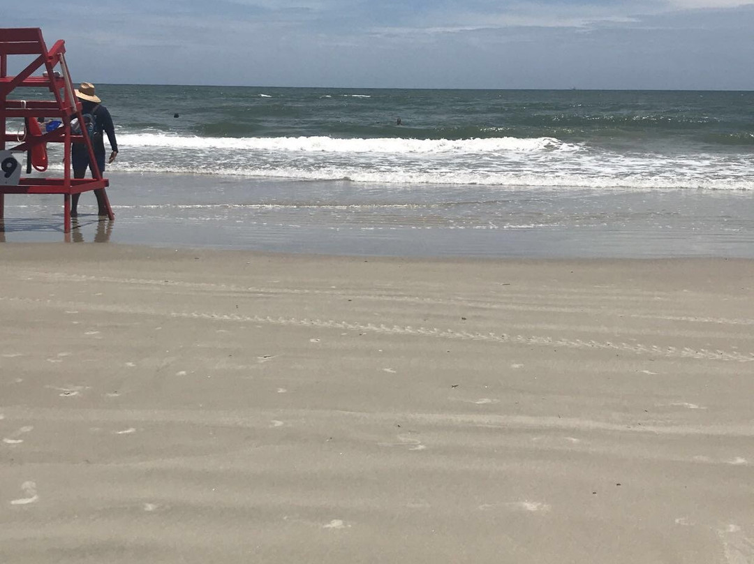 Huguenot Memorial Park-杰克逊维尔必去景点