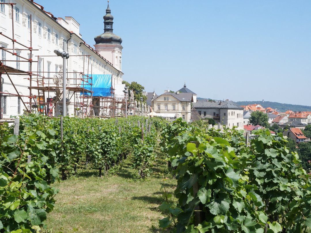 Vinne Sklepy Kutna Hora-库特纳霍拉必去景点