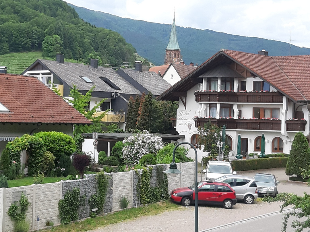 Hotel Schwarzenberg主图