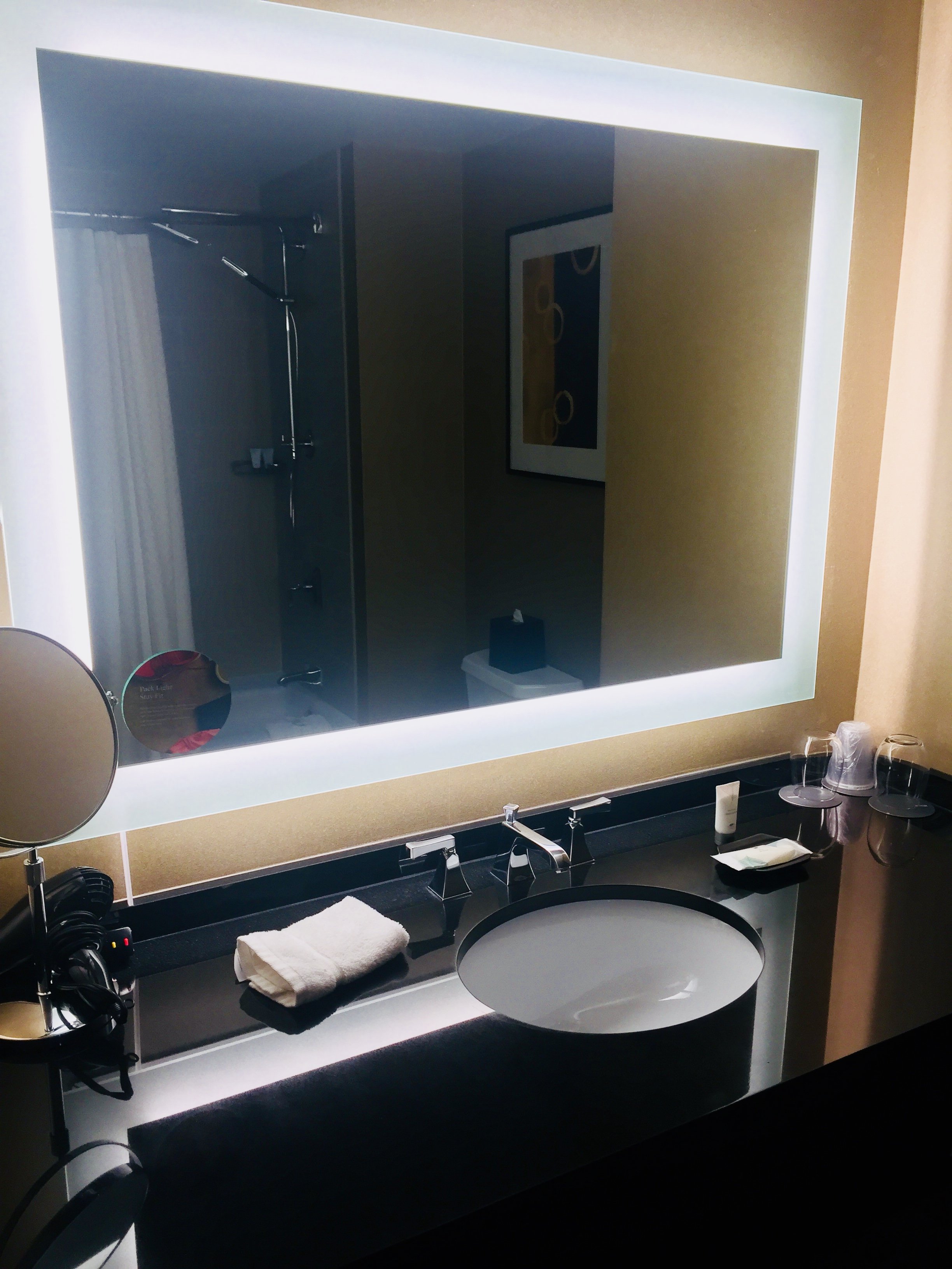 The Westin Baltimore Washington Airport - BWI-浴室