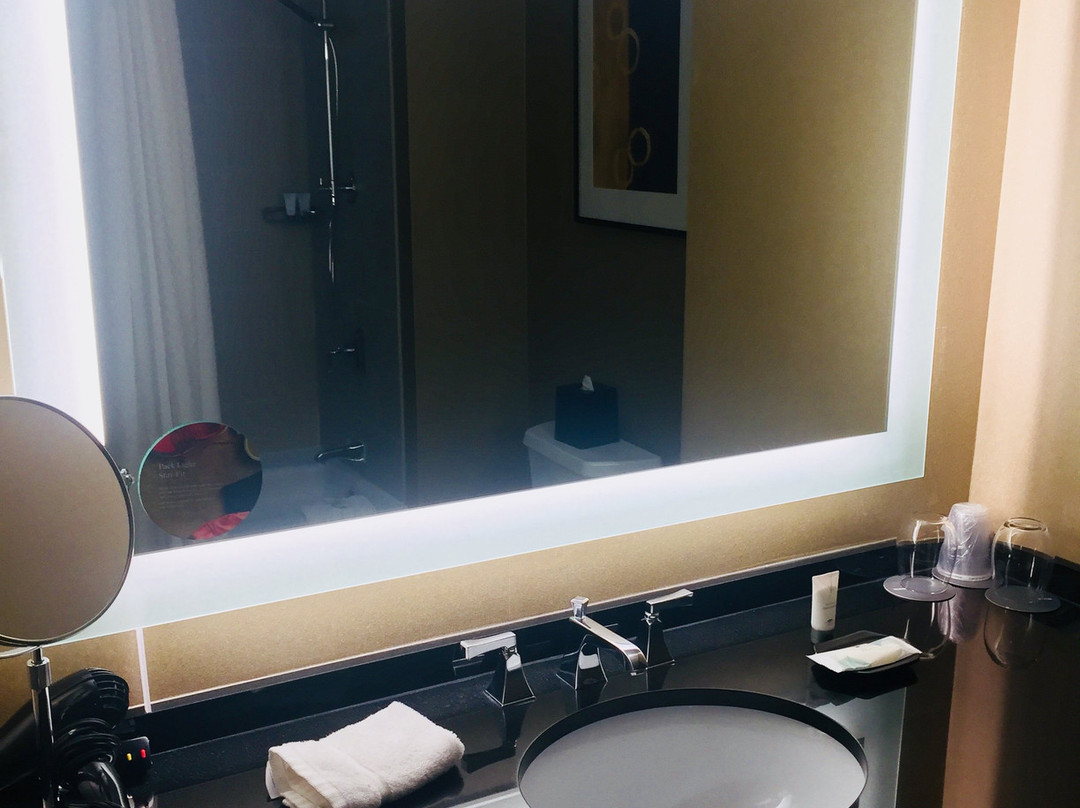 The Westin Baltimore Washington Airport - BWI主图