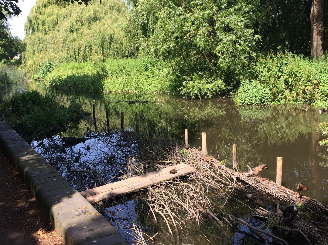 Oxhey Park景点图片